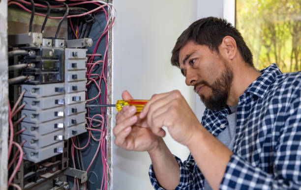 Best Generator Installation Services  in Tecumseh, NE